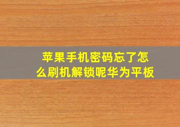 苹果手机密码忘了怎么刷机解锁呢华为平板