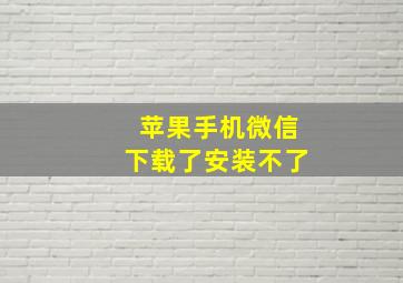 苹果手机微信下载了安装不了