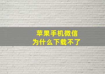 苹果手机微信为什么下载不了