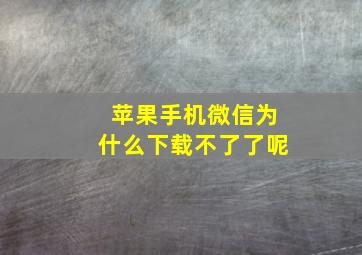 苹果手机微信为什么下载不了了呢