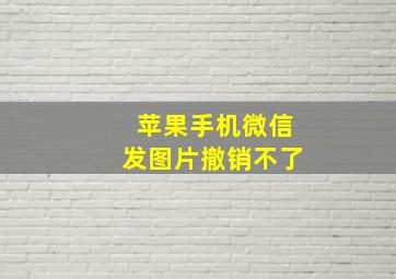 苹果手机微信发图片撤销不了