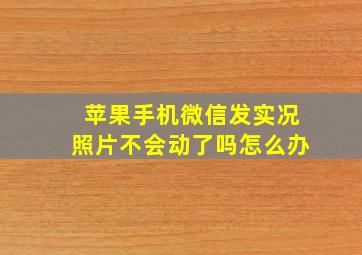 苹果手机微信发实况照片不会动了吗怎么办