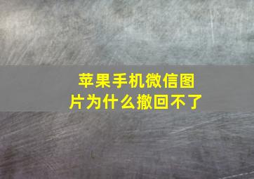 苹果手机微信图片为什么撤回不了