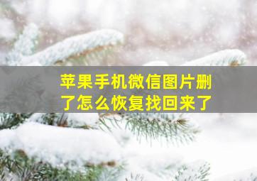 苹果手机微信图片删了怎么恢复找回来了