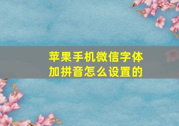 苹果手机微信字体加拼音怎么设置的