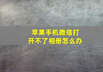 苹果手机微信打开不了相册怎么办