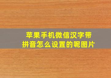 苹果手机微信汉字带拼音怎么设置的呢图片