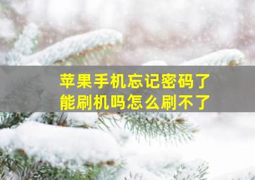 苹果手机忘记密码了能刷机吗怎么刷不了