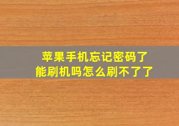 苹果手机忘记密码了能刷机吗怎么刷不了了