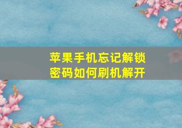 苹果手机忘记解锁密码如何刷机解开