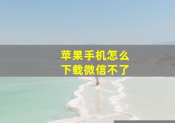 苹果手机怎么下载微信不了