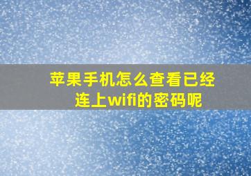 苹果手机怎么查看已经连上wifi的密码呢