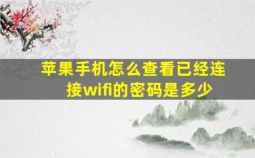 苹果手机怎么查看已经连接wifi的密码是多少