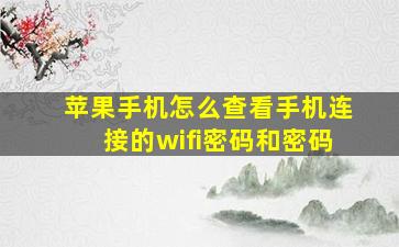 苹果手机怎么查看手机连接的wifi密码和密码