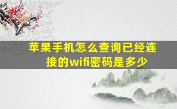 苹果手机怎么查询已经连接的wifi密码是多少