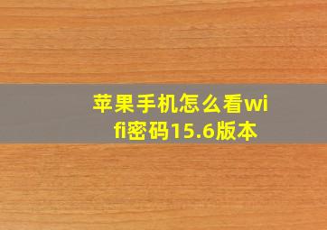 苹果手机怎么看wifi密码15.6版本