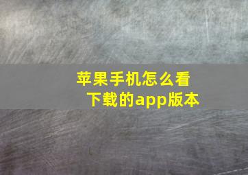 苹果手机怎么看下载的app版本