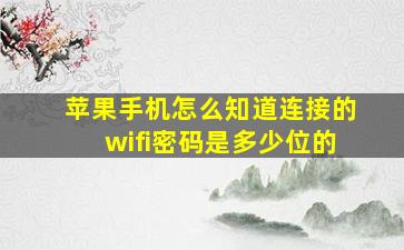 苹果手机怎么知道连接的wifi密码是多少位的