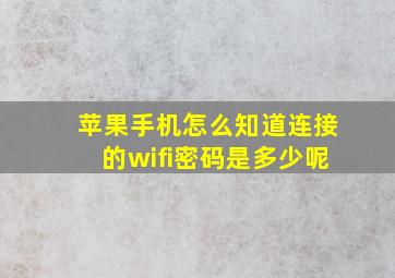 苹果手机怎么知道连接的wifi密码是多少呢