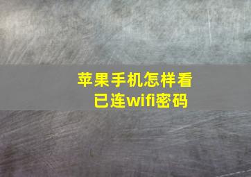 苹果手机怎样看已连wifi密码