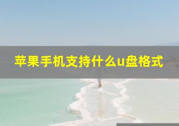 苹果手机支持什么u盘格式