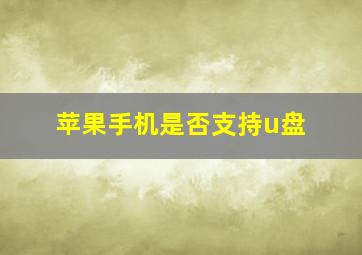 苹果手机是否支持u盘