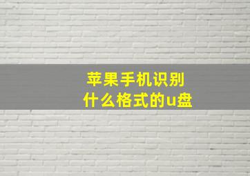 苹果手机识别什么格式的u盘