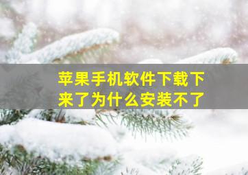 苹果手机软件下载下来了为什么安装不了