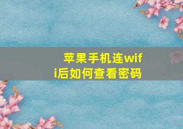 苹果手机连wifi后如何查看密码