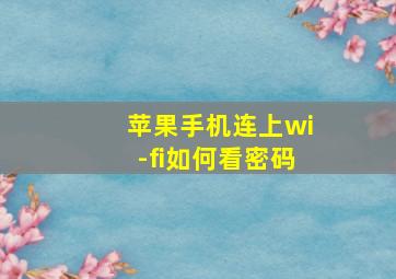 苹果手机连上wi-fi如何看密码