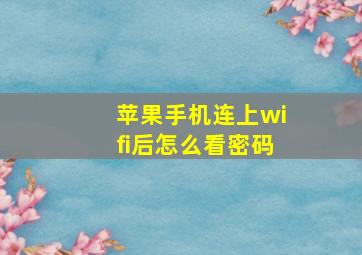 苹果手机连上wifi后怎么看密码