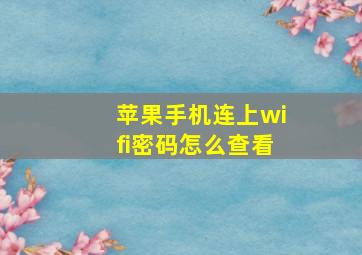 苹果手机连上wifi密码怎么查看