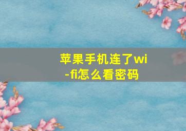 苹果手机连了wi-fi怎么看密码