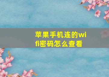 苹果手机连的wifi密码怎么查看