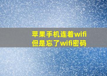 苹果手机连着wifi但是忘了wifi密码