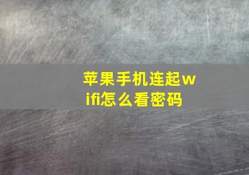 苹果手机连起wifi怎么看密码