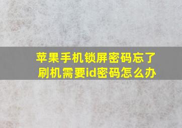 苹果手机锁屏密码忘了刷机需要id密码怎么办