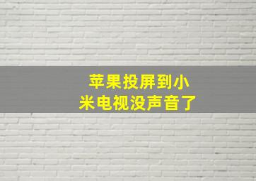 苹果投屏到小米电视没声音了