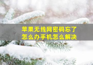 苹果无线网密码忘了怎么办手机怎么解决