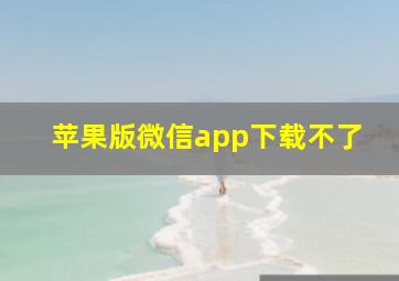 苹果版微信app下载不了