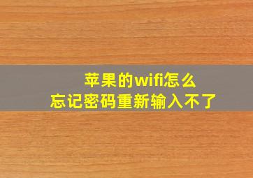 苹果的wifi怎么忘记密码重新输入不了