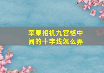 苹果相机九宫格中间的十字线怎么弄