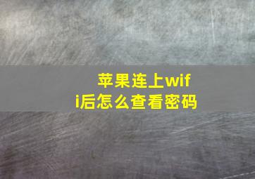 苹果连上wifi后怎么查看密码