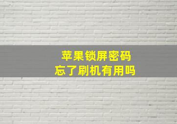 苹果锁屏密码忘了刷机有用吗