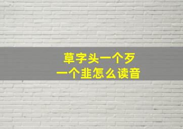 草字头一个歹一个韭怎么读音