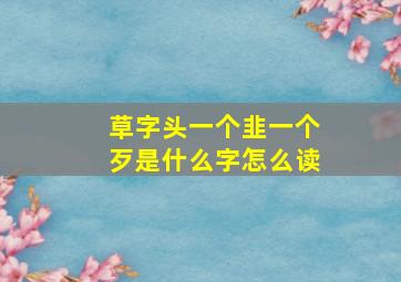 草字头一个韭一个歹是什么字怎么读