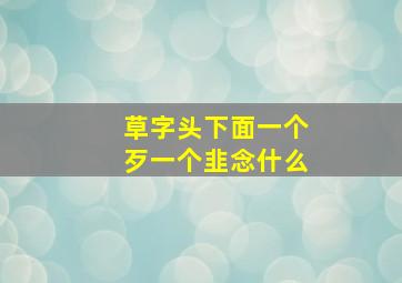 草字头下面一个歹一个韭念什么