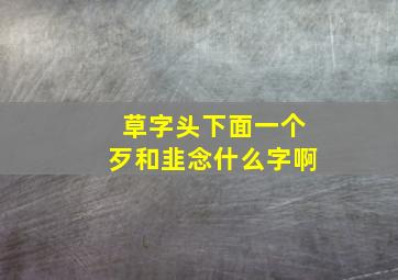 草字头下面一个歹和韭念什么字啊