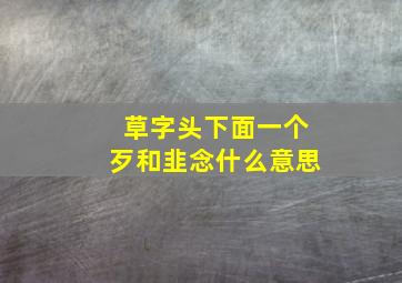 草字头下面一个歹和韭念什么意思