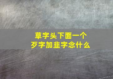 草字头下面一个歹字加韭字念什么